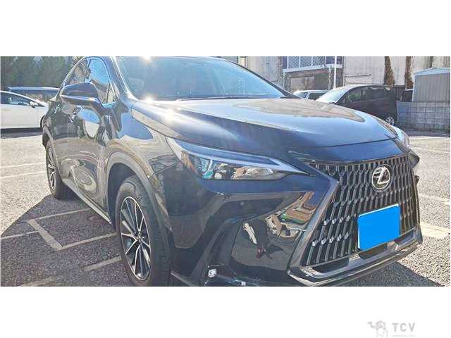 2025 Lexus NX