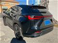 2025 Lexus NX
