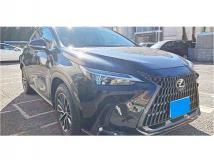 2025 Lexus NX