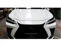 2025 Lexus NX
