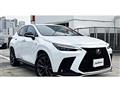 2025 Lexus NX