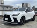2025 Lexus NX