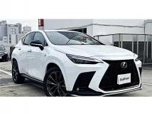 2025 Lexus NX