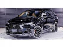 2025 Lexus NX