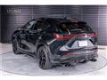 2025 Lexus NX