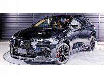 2025 Lexus NX