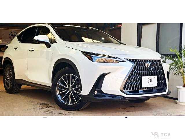 2024 Lexus NX