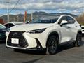 2024 Lexus NX