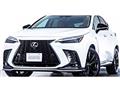 2024 Lexus NX