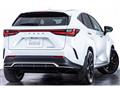 2024 Lexus NX