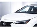 2024 Lexus NX