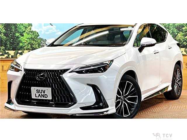 2024 Lexus NX
