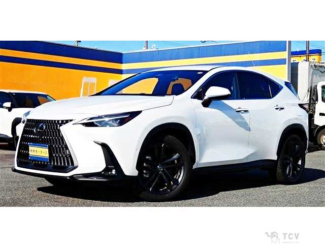 2024 Lexus NX