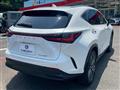 2024 Lexus NX