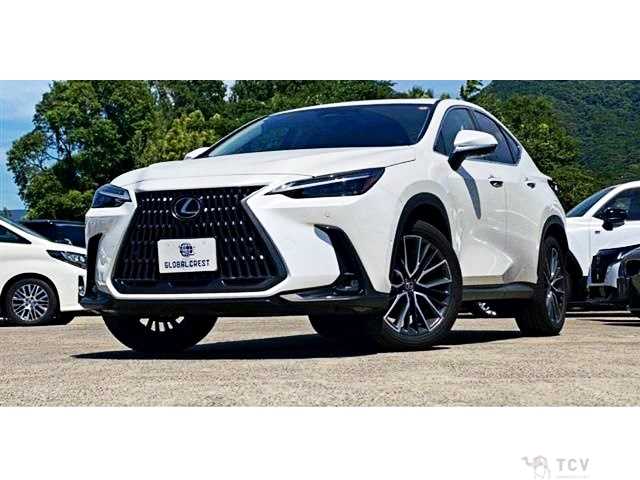 2024 Lexus NX