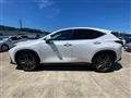 2024 Lexus NX