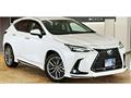 2024 Lexus NX