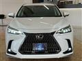 2024 Lexus NX