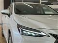 2024 Lexus NX