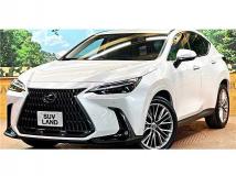 2024 Lexus NX