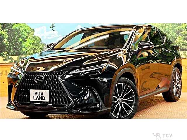 2024 Lexus NX