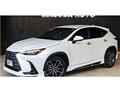 2024 Lexus NX