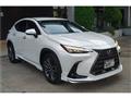 2024 Lexus NX