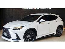 2024 Lexus NX