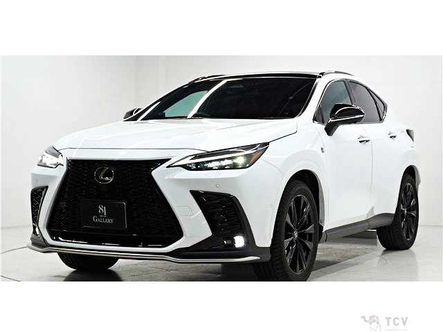 2024 Lexus NX