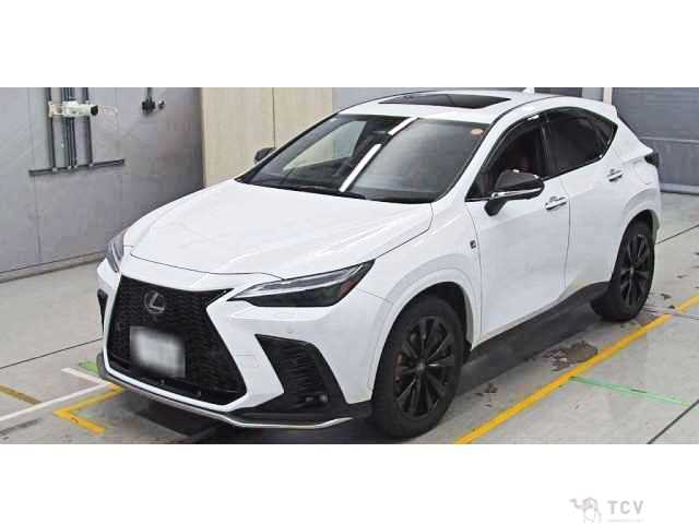 2024 Lexus NX