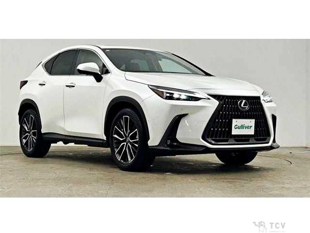 2024 Lexus NX