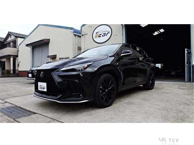 2024 Lexus NX