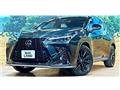 2024 Lexus NX