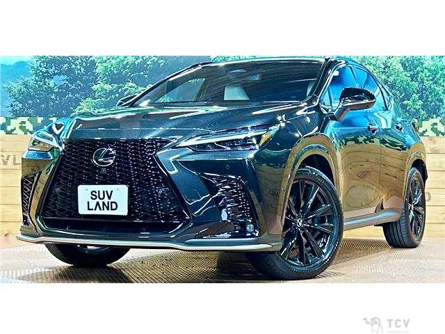 2024 Lexus NX