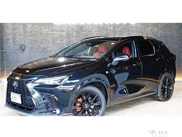 2024 Lexus NX