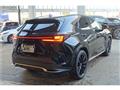 2024 Lexus NX