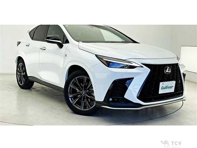 2024 Lexus NX