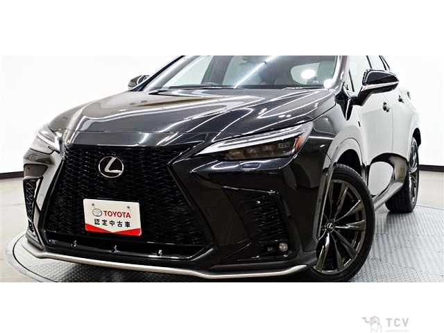 2024 Lexus NX