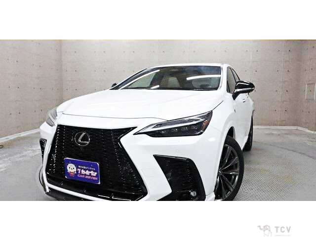 2024 Lexus NX