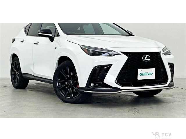 2024 Lexus NX