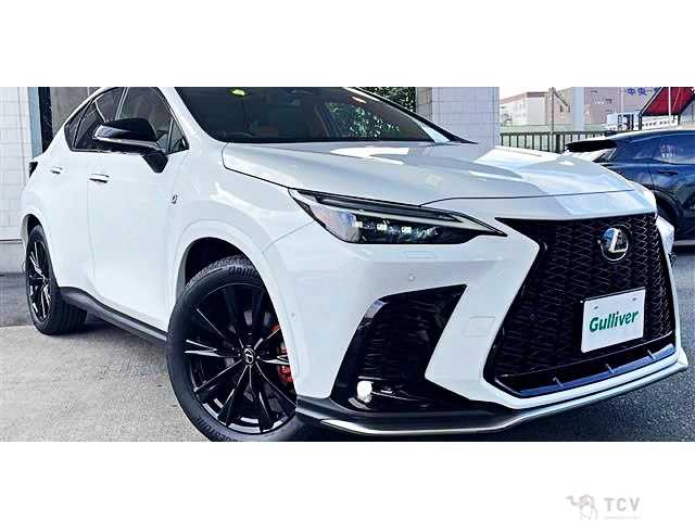 2024 Lexus NX