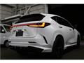 2024 Lexus NX