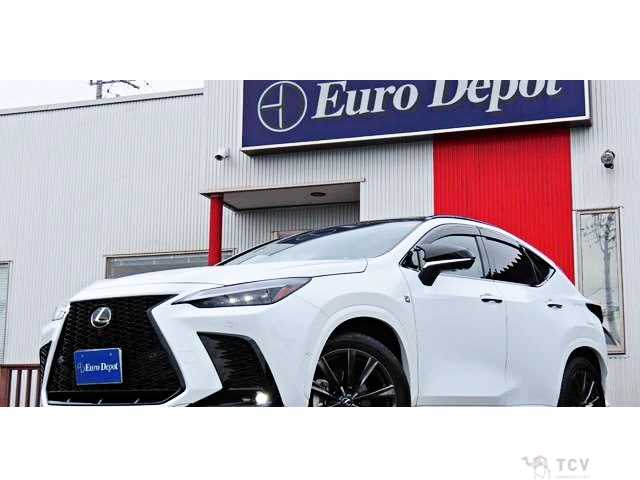 2024 Lexus NX