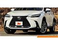 2023 Lexus NX