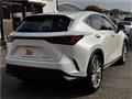 2023 Lexus NX