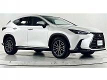 2023 Lexus NX