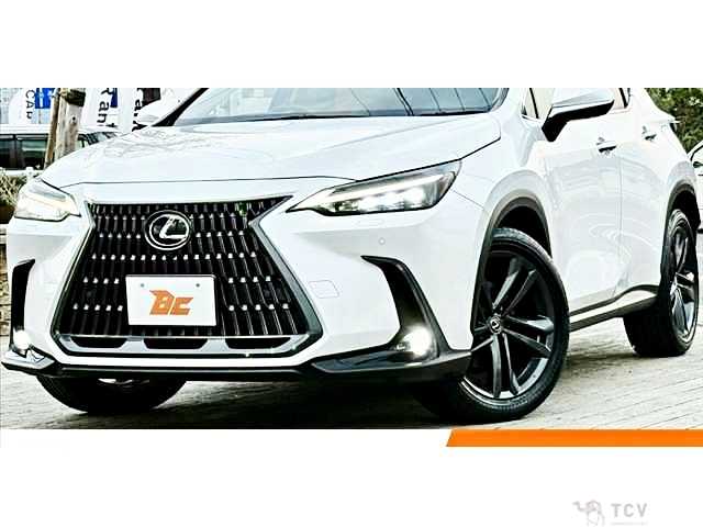 2023 Lexus NX