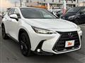 2023 Lexus NX