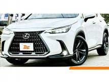 2023 Lexus NX