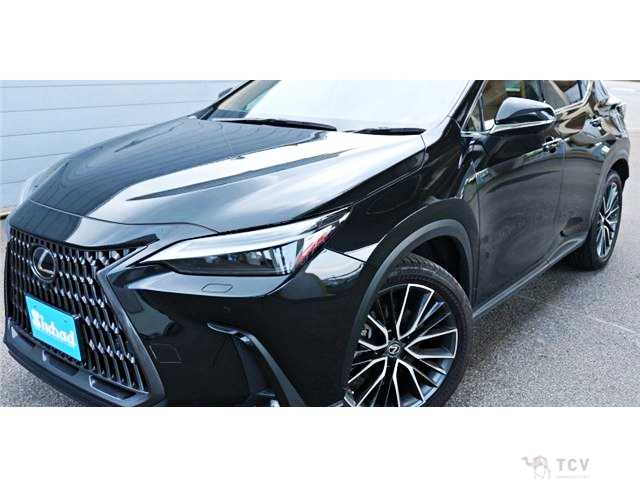2023 Lexus NX